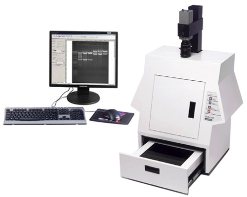 Gel Doc 2000 Gel Documentation System