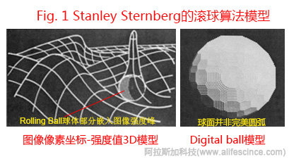 Rolling Ball背景校正算法原理模型圖.jpg