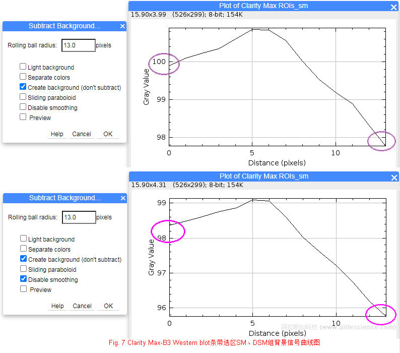 Fig 7 Clarity Max-B3 Western blot條帶選區(qū)SM、DSM組背景信號曲線圖.jpg