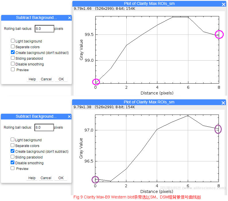 Fig 9 Clarity Max-B9 Western blot條帶選區(qū)SM、DSM組背景信號曲線圖.jpg