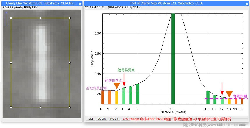 ImageJ軟件Plot Profile窗口像素強度值-水平坐標(biāo)圖解析.jpg