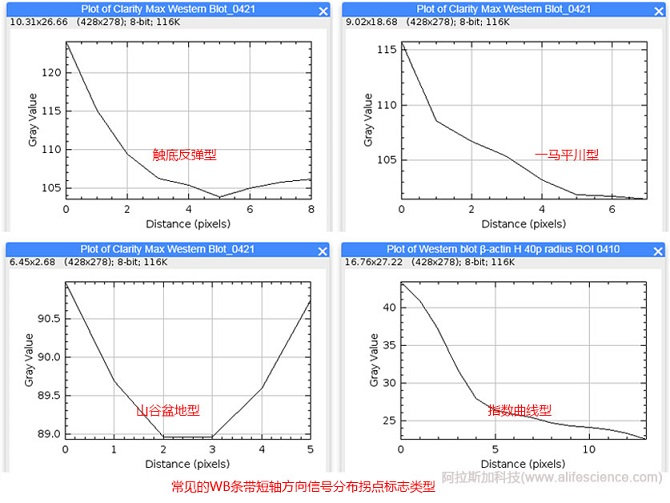 WB條帶短軸方向信號分布拐點標(biāo)志.jpg