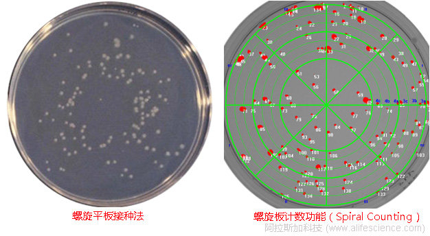 凝膠成像分析系統(tǒng)螺旋平板菌落計數(shù)計數(shù)功能.jpg