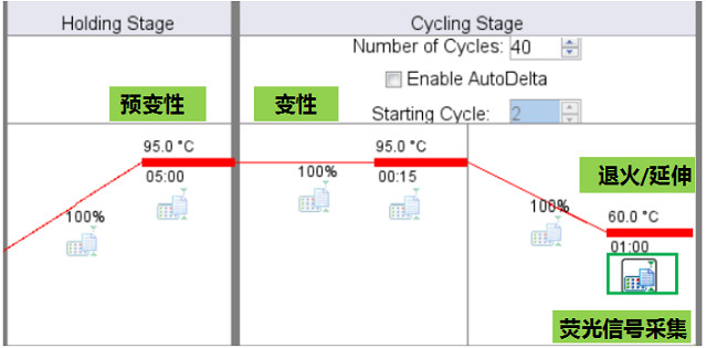 7500 Fast StepOnePlus ViiA7實時實時熒光定量PCR儀雙溫循環(huán)程序熒光信號采集時間設(shè)置.jpg