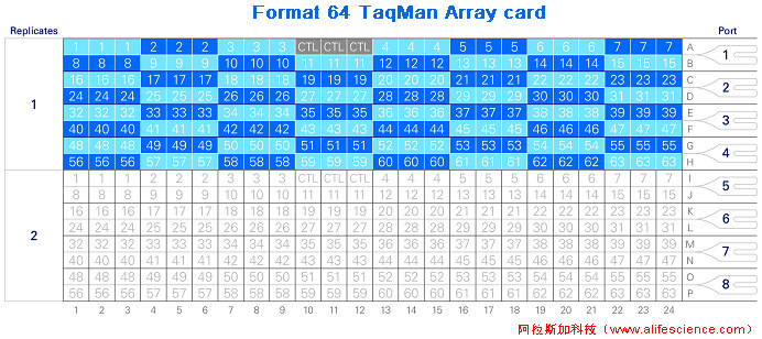 QuantStudio 6 Flex Format 64 TaqMan Array card.jpg