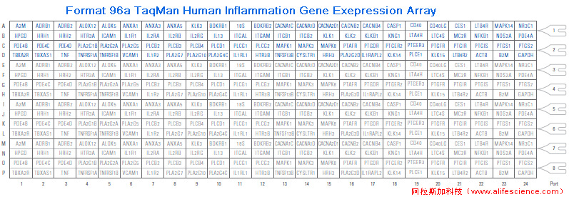 QuantStudio 6 Pro實(shí)時(shí)熒光定量PCR儀Format 96A 炎癥基因表達(dá)TAC.jpg