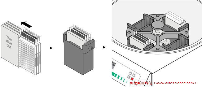 實時熒光定量PCR儀TAC離心示意圖.jpg