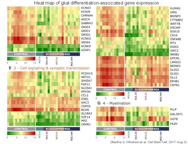 QuantStudio 12K Flex實(shí)時(shí)熒光定量PCR儀TAC測(cè)試數(shù)據(jù)heatmap.jpg