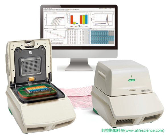 伯樂CFX connect 實時熒光定量PCR儀.jpg