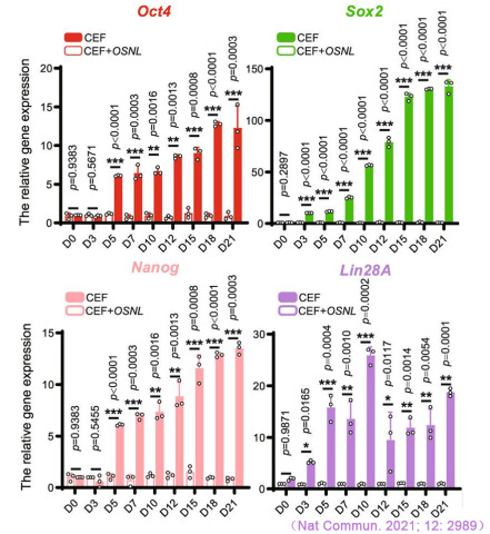 CFX Connect實(shí)時(shí)熒光定量PCR儀對iPS多能性標(biāo)記基因Oct4、Sox2、Nanog和Lin28A表達(dá)的檢測.jpg