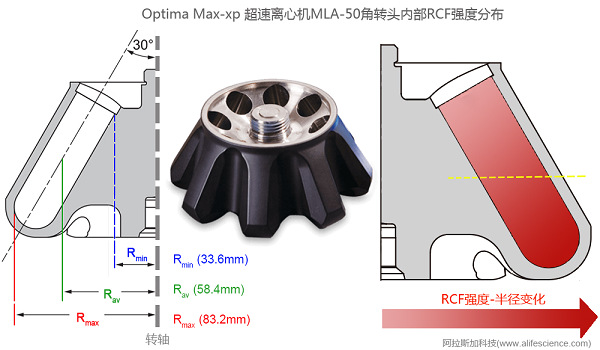 Optima Max-xp超速離心機(jī)MLA-50角轉(zhuǎn)頭內(nèi)部RCF分布示意圖.jpg