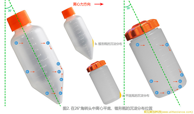 圖2.角轉(zhuǎn)頭中離心平底、錐形瓶的沉淀分布位置.jpg